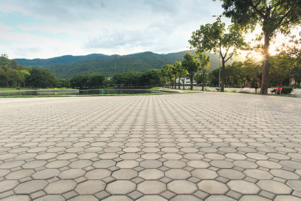Best Decorative Driveway Pavers  in Pima, AZ