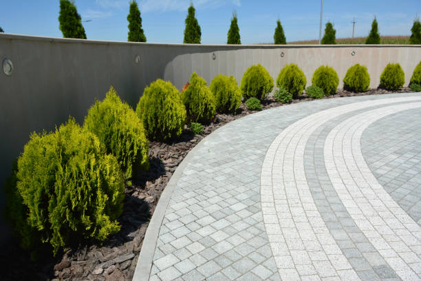 Best Driveway Pavers Near Me  in Pima, AZ