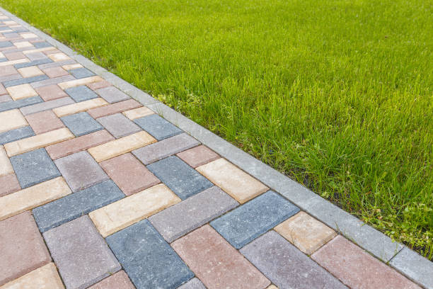 Best Affordable Driveway Paving  in Pima, AZ